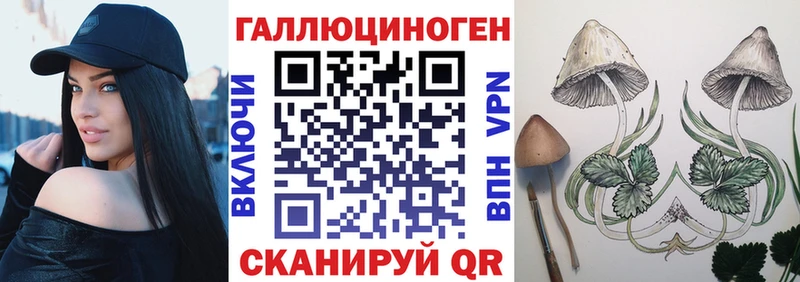 Псилоцибиновые грибы Psilocybe  Богородск 